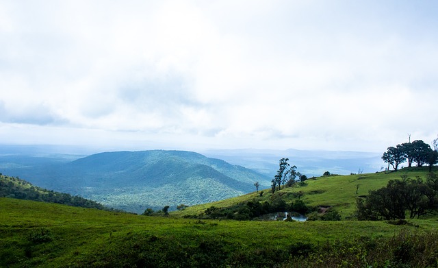 犹如快船防 犹如快船防