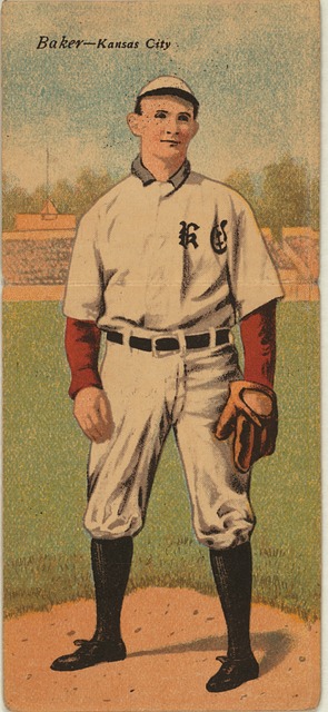 光依赖于个 光依赖于个