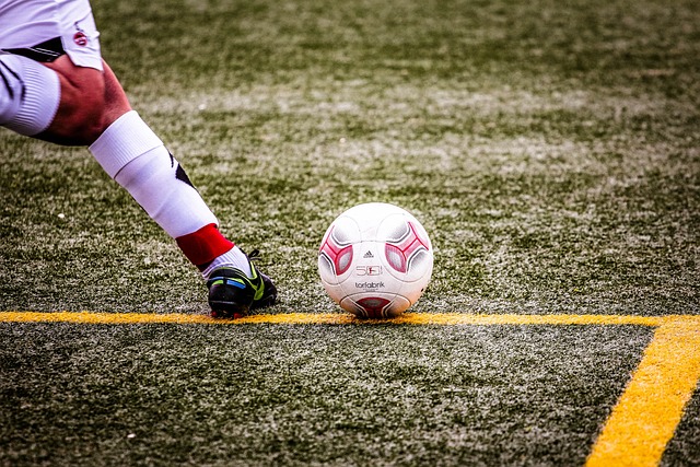 为未来奠定 为未来奠定