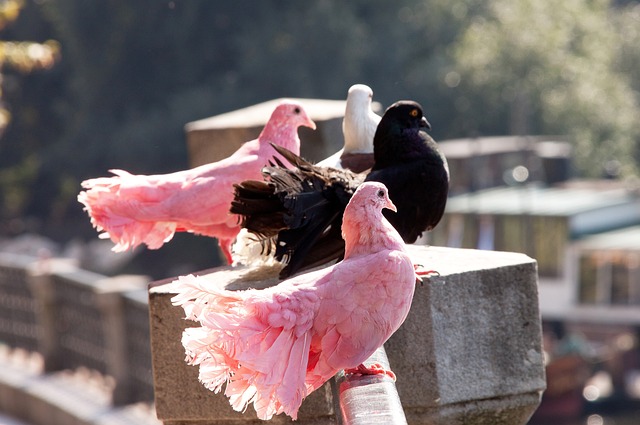 入了新能量 入了新能量