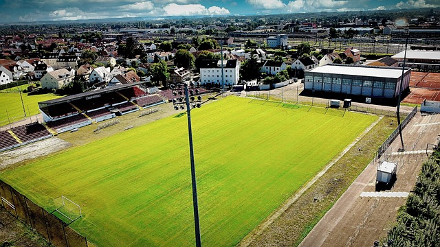 更需要整个 更需要整个